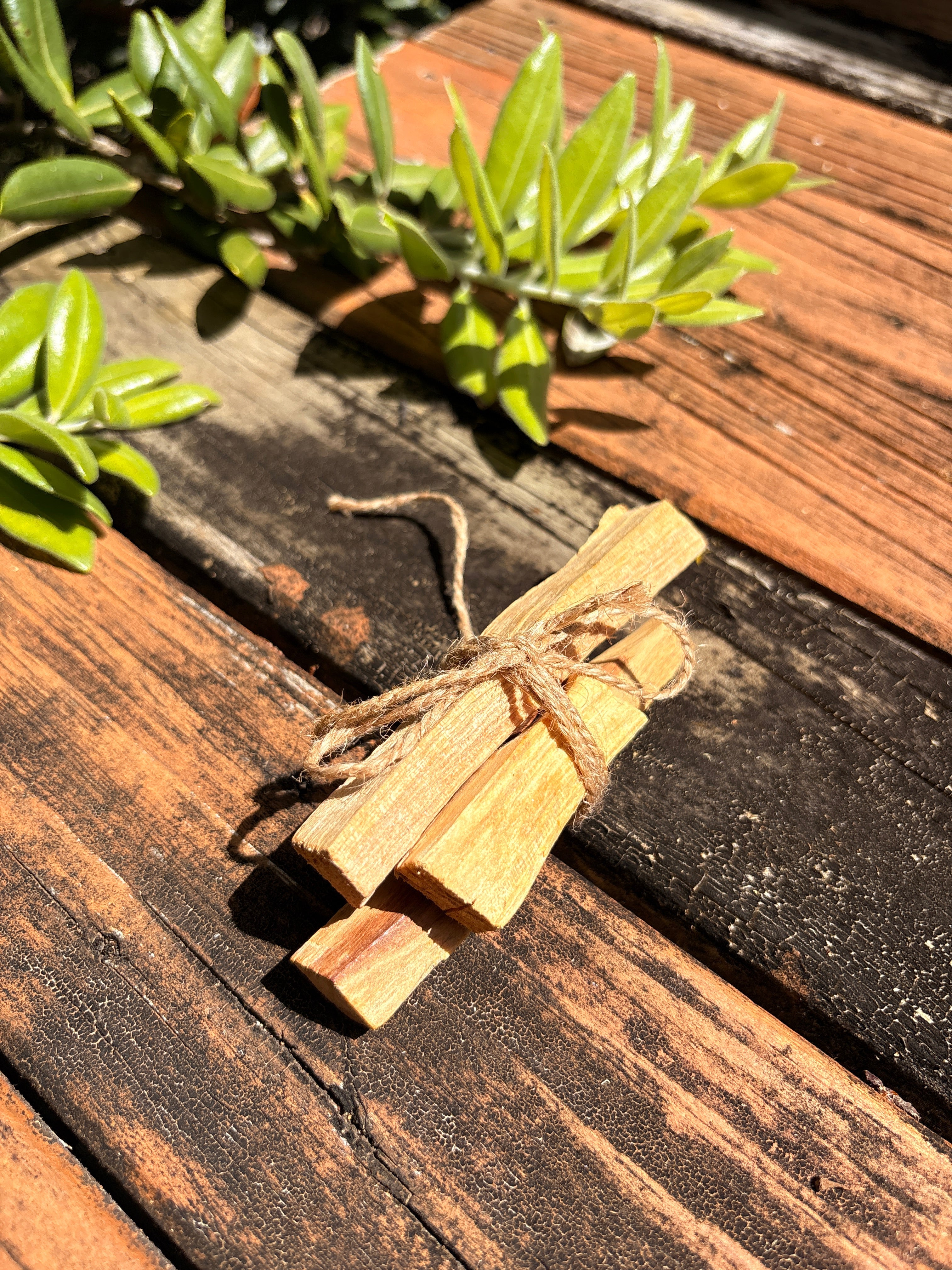 Sacred Woods & Incense