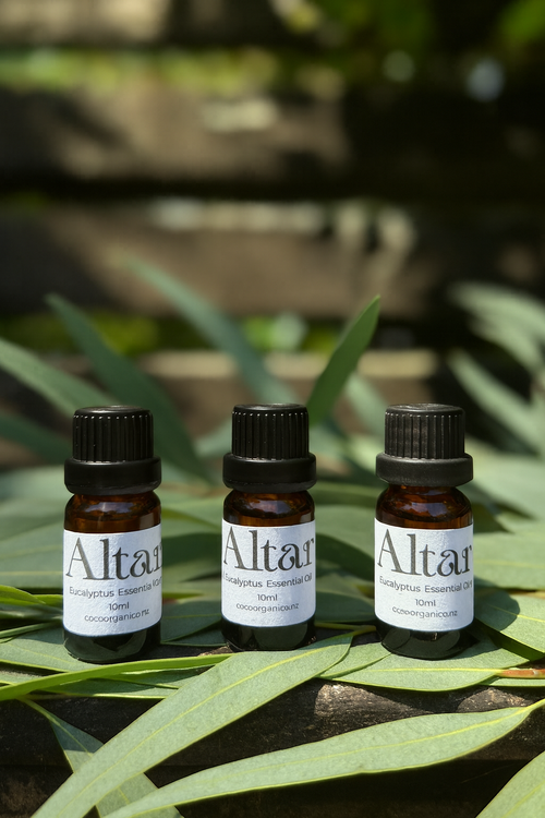 Eucalyptus Essential Oil – 100% Pure (10ml)