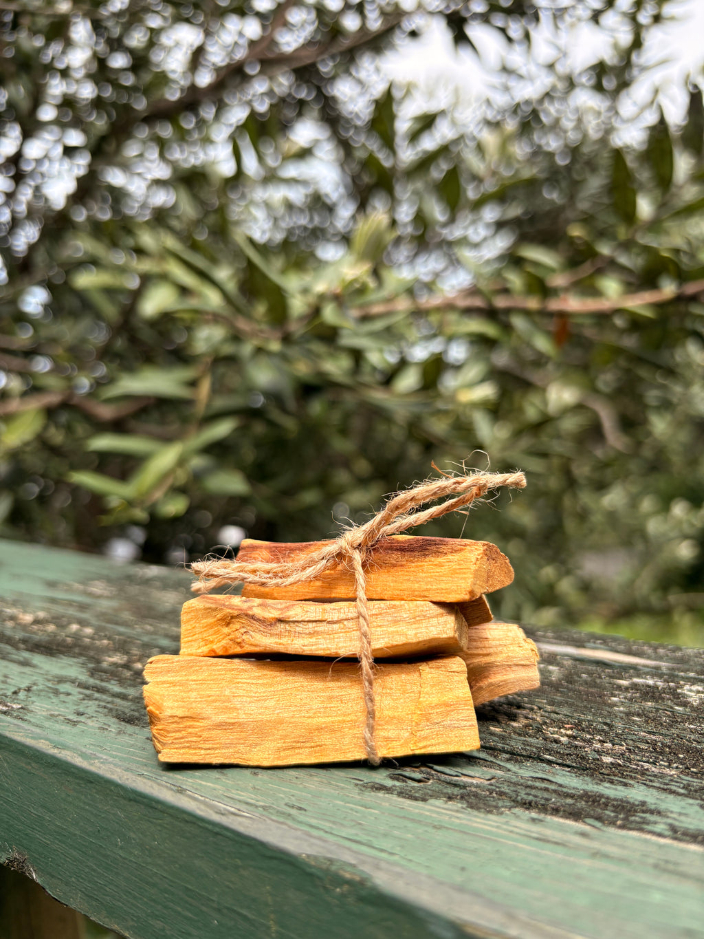 Palo Santo – Sacred Cleansing Wood for Energy