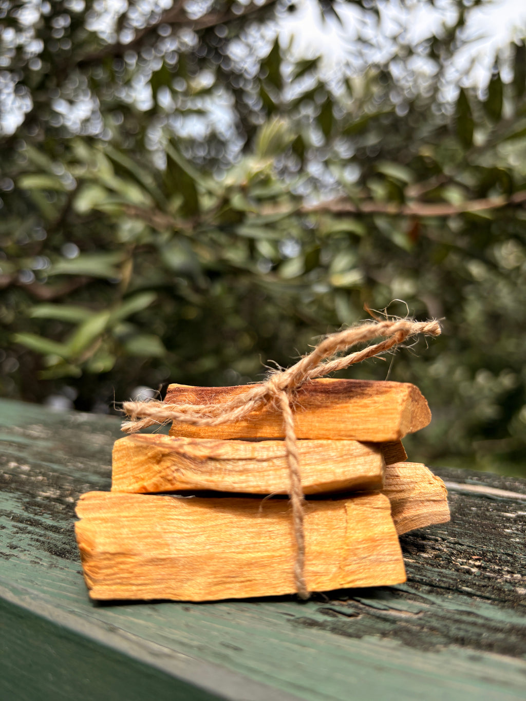 Palo Santo – Sacred Cleansing Wood for Energy