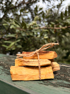 Palo Santo – Sacred Cleansing Wood for Energy
