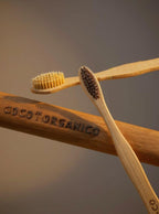 Travel Toothbrush Set – Bamboo Tube + 2 Eco Brushes
