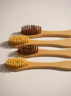 Travel Toothbrush Set – Bamboo Tube + 2 Eco Brushes