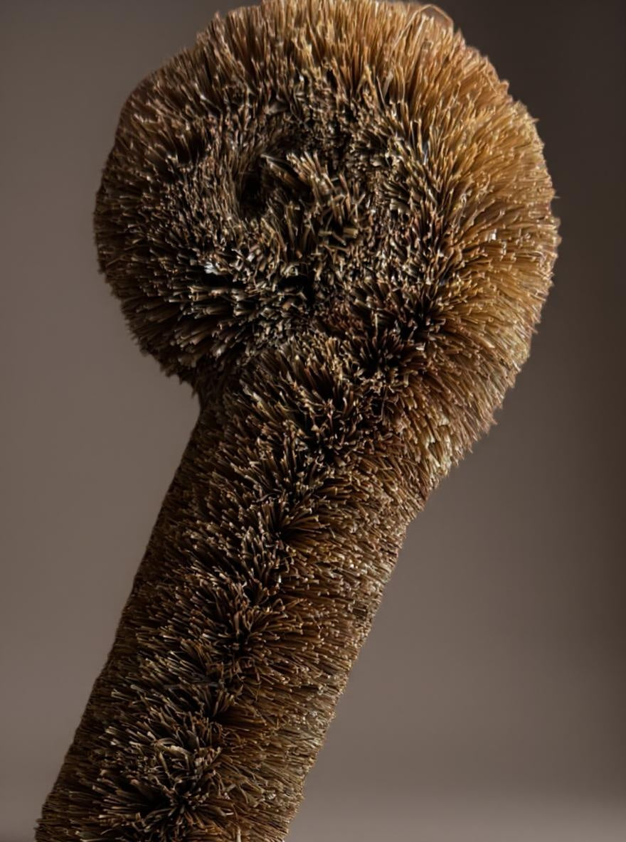 Bottle Brush – Coconut Fiber & Wooden Handle