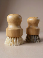 Natural Dish Brush Duo – Coconut, Palm & Agave Set