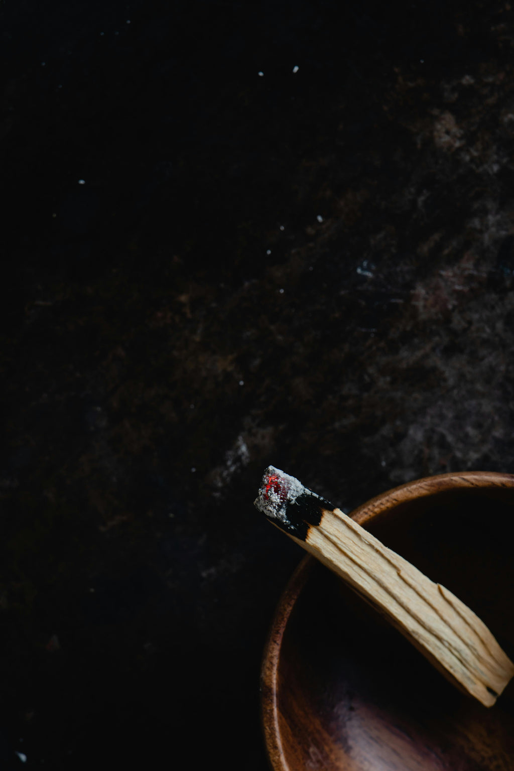 Palo Santo – Sacred Cleansing Wood for Energy